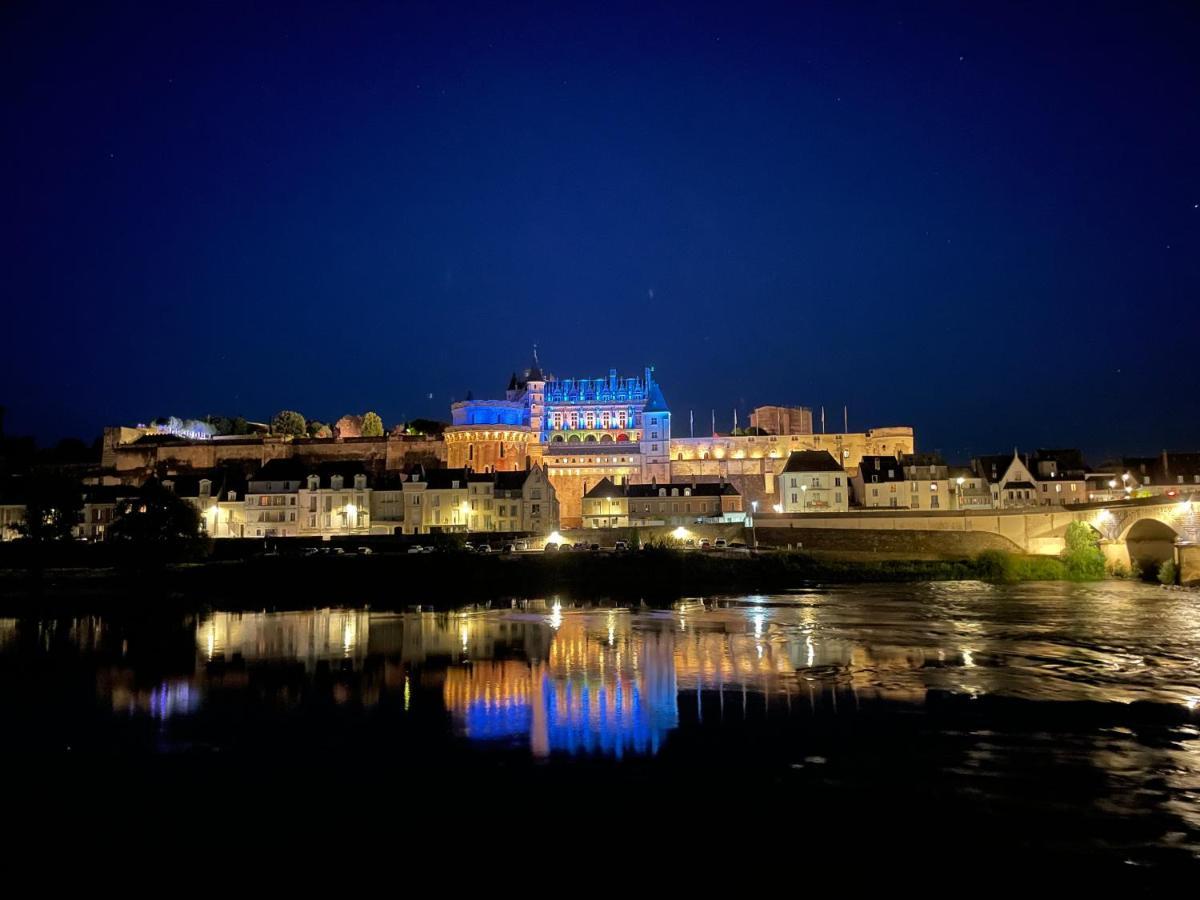 Amboise - L'Ecrin De Leonard Villa Bagian luar foto